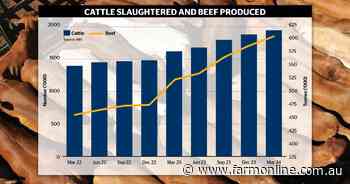 Rebuild or static: Where the 2024 cattle herd is headed still a mystery