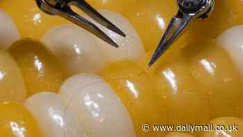 A-maize-ing! Sony's microsurgery robot operates on a corn kernel