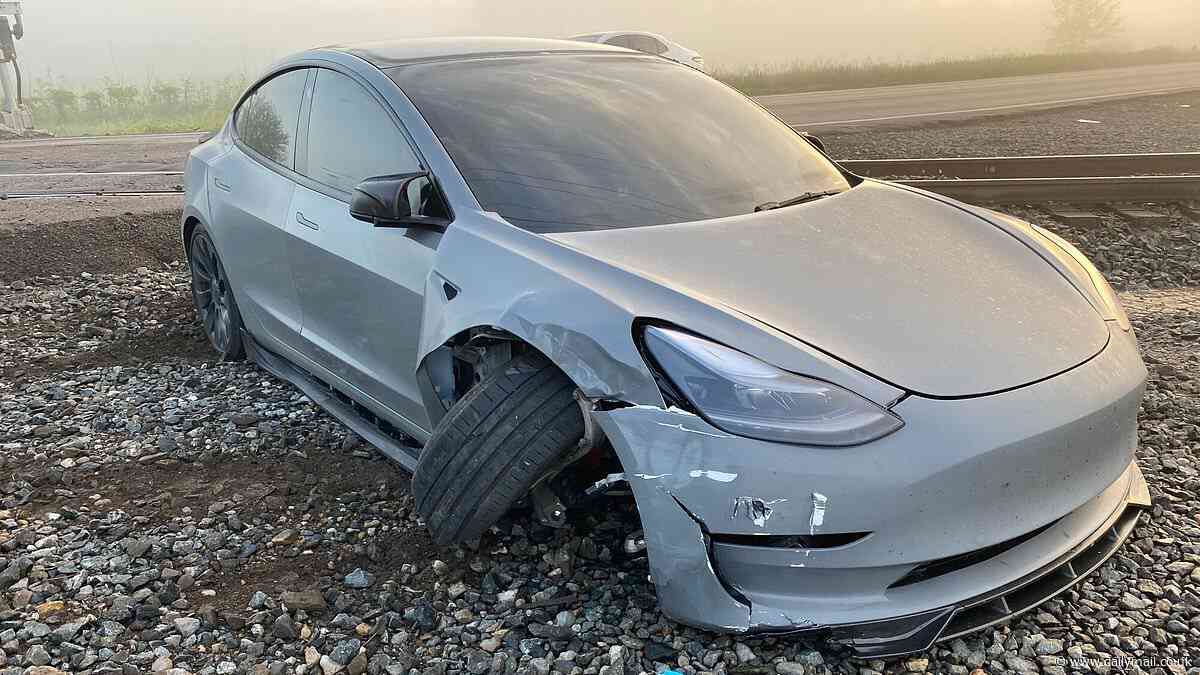 Heart-stopping moment Tesla owner nearly plows into a moving TRAIN in 'self-drive' mode (and he says it wasn't the first time!)