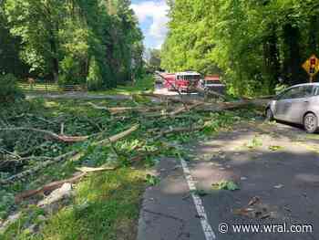 Tree falls on car, knocks down power lines near Orange Co. golf club