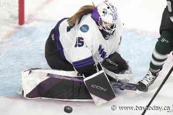 Maddie Rooney, Taylor Heise, Susanna Tapani named PWHL's three stars of the week