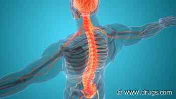 Arm Fat May Predict Spinal Fracture Risk
