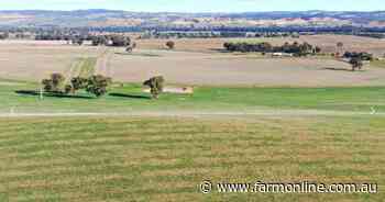Versatile South West Slopes country ideal for crops, hay, livestock