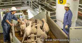 Live export decision the wrong one says farmer