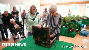 Time capsule opened as old village hall demolished