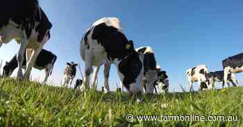 Catch the latest dairy updates at Tatura SmartFarm