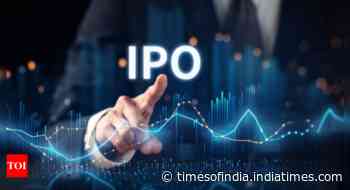 Big IPOs seen making a comeback in India as stock boom continues