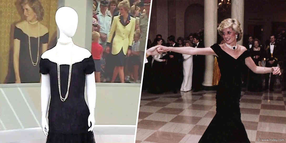 Some of Princess Diana's famous dresses are up for rare auction. Take a look at the collection