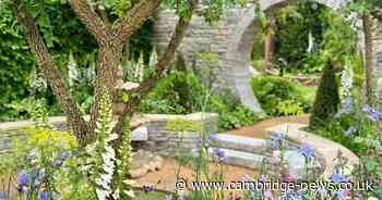 Chelsea Flower Show garden inspired by new Bridgerton series will relocate to Cambridge