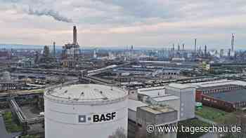 Chemiekonzern BASF zwischen Profit und Moral