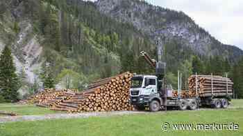 Zu viel Holz: Nasslager in Vorderriß geht wieder in Betrieb