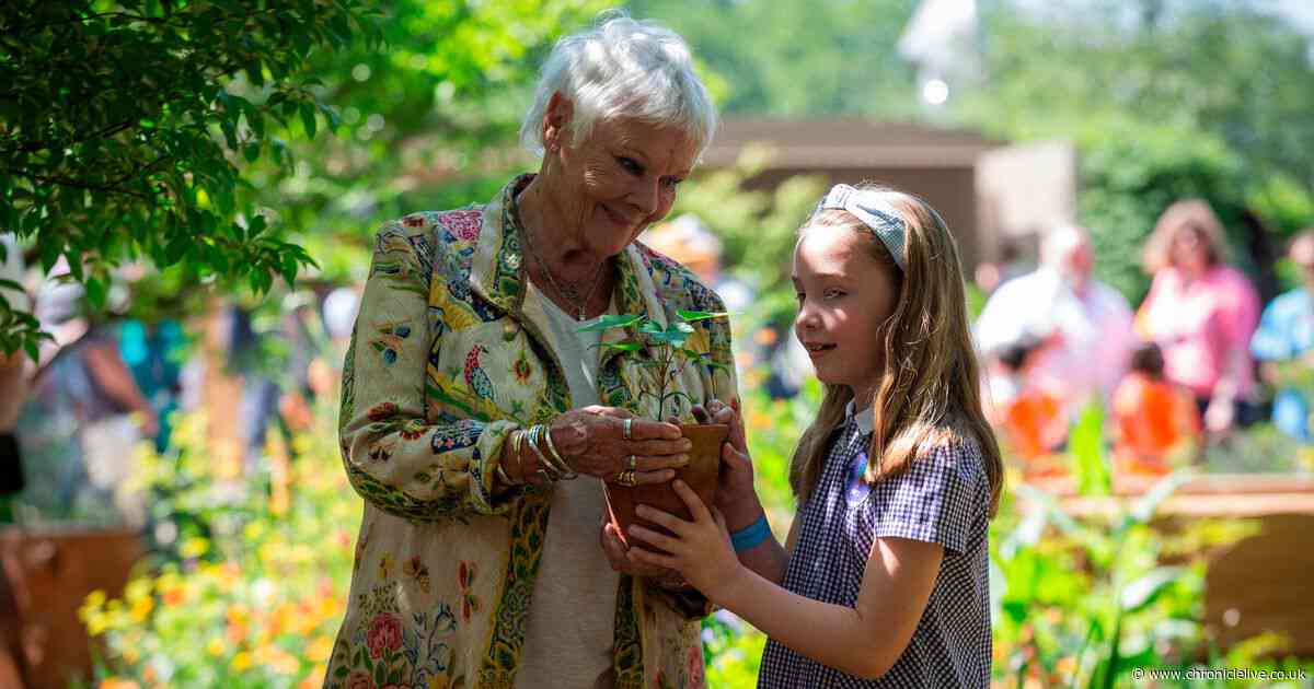 Northumberland schoolgirl plants Sycamore Gap seedling at Chelsea Flower Show with Dame Judi Dench