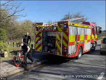 Search for man stuck in mud in river Foss in York