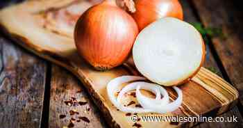 Experts say storage method 'keeps onions fresh for half a year'
