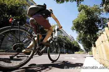 Nice décroche trois vélos du label "Ville à vélo du Tour de France"