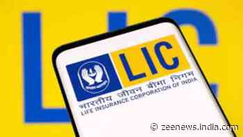 How To Check Your LIC Policy Status And Other Details Via WhatsApp