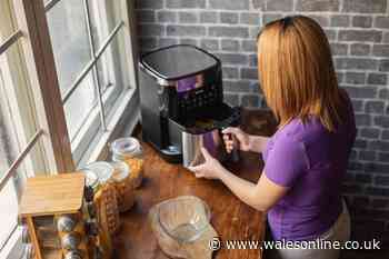Years to benefit from air fryer as you only save pennies per meal