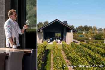Driesterrenchef houdt residentie in Puurs-Sint-Amands: de zomer van wijndomein Valke-Vleug