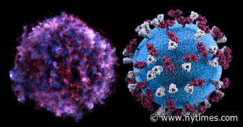 Supernova or Coronavirus: Can You Tell the Difference?