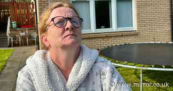 Gran living in fear of birds forced to surrender bedroom to winged invaders from her roof