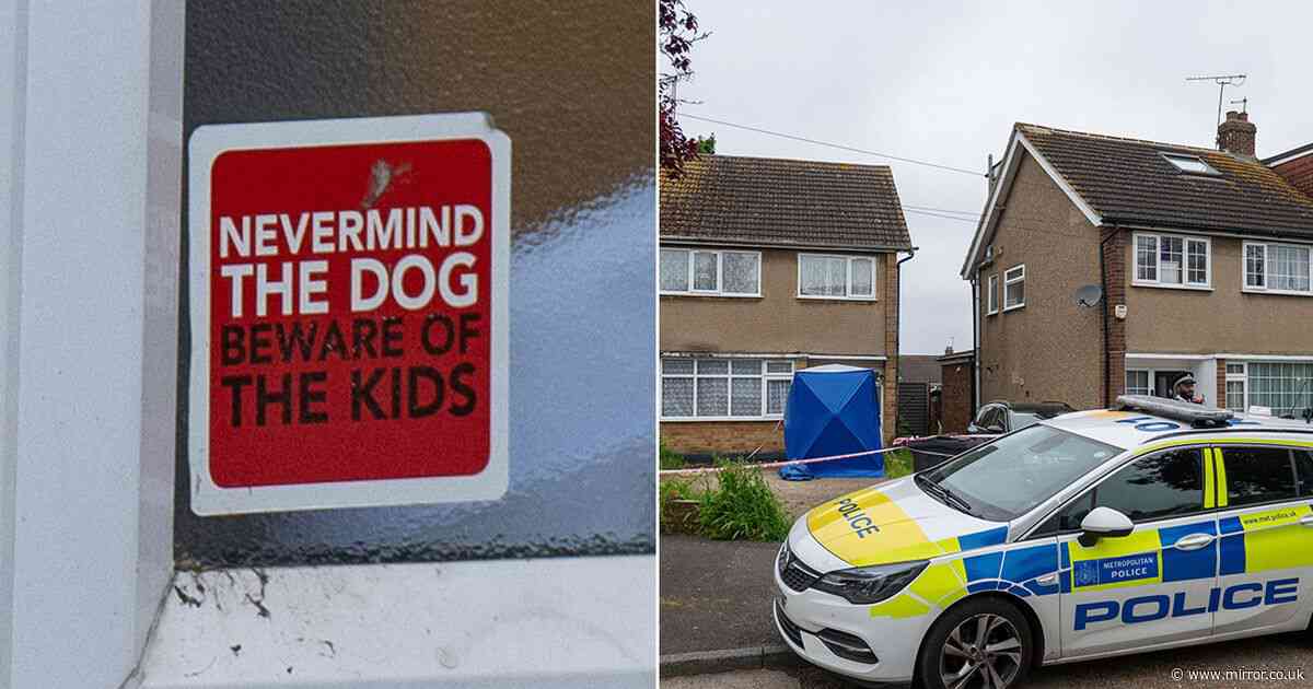 Hornchurch XL Bully attack: Chilling 7-word sticker on front door where woman was killed by her dogs
