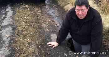 Bus tour owner says business has been hit by potholes so deep that he can stand in them