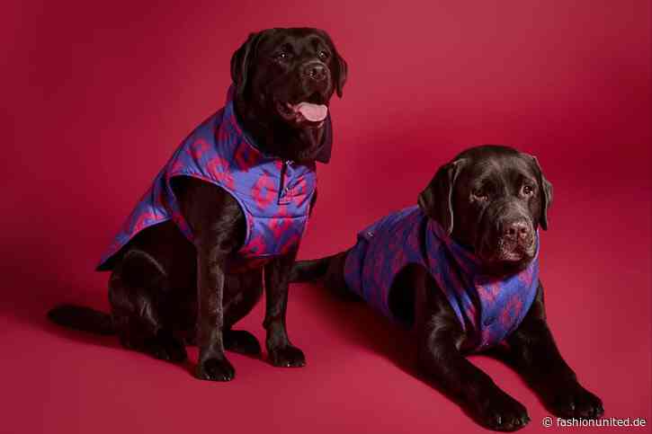 Auf den Hund gekommen: Armani lanciert Kollektion für Vierbeiner