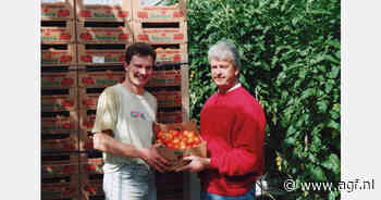 Uit de oude doos: Solleveld's 'Natura'-tomaat succes
