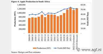 Zuid-Afrika verhoogt export van druiven en hardfruit