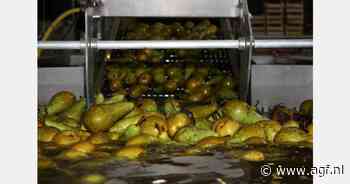 "Overgebleven perenvoorraden geen reden voor paniek"