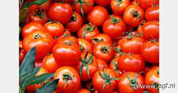 Turks exportverbod treft tomaten naar Israël