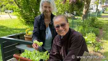 Begegnungsort mit Urban Gardening: Brahmsgarten in Schongau startet in Saison