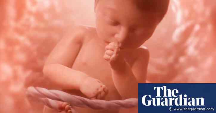‘Meet Baby Olivia’: anti-abortion groups target US sex-ed classes