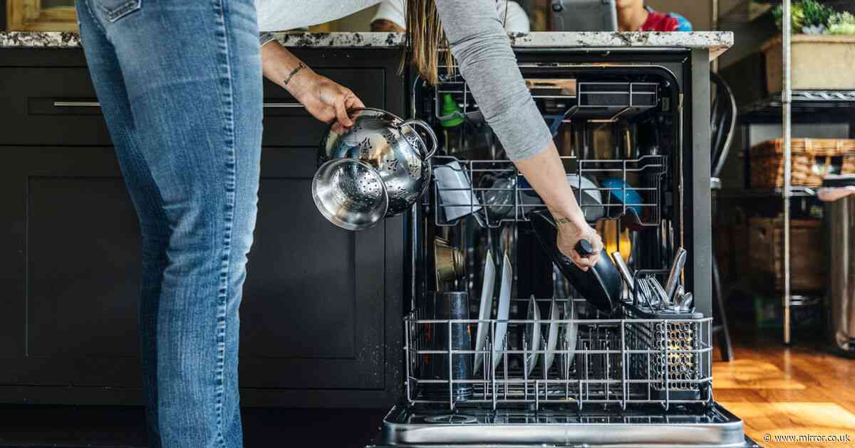 'My boyfriend says I load the dishwasher like a T-Rex – so I got revenge'