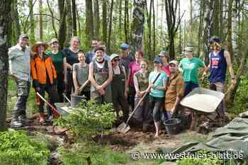 Freiwillige holen wertvolles Moor zurück in den Kleinenberger Wald