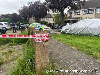 Cornwall Close, Hornchurch dog attack death: Pictures from scene