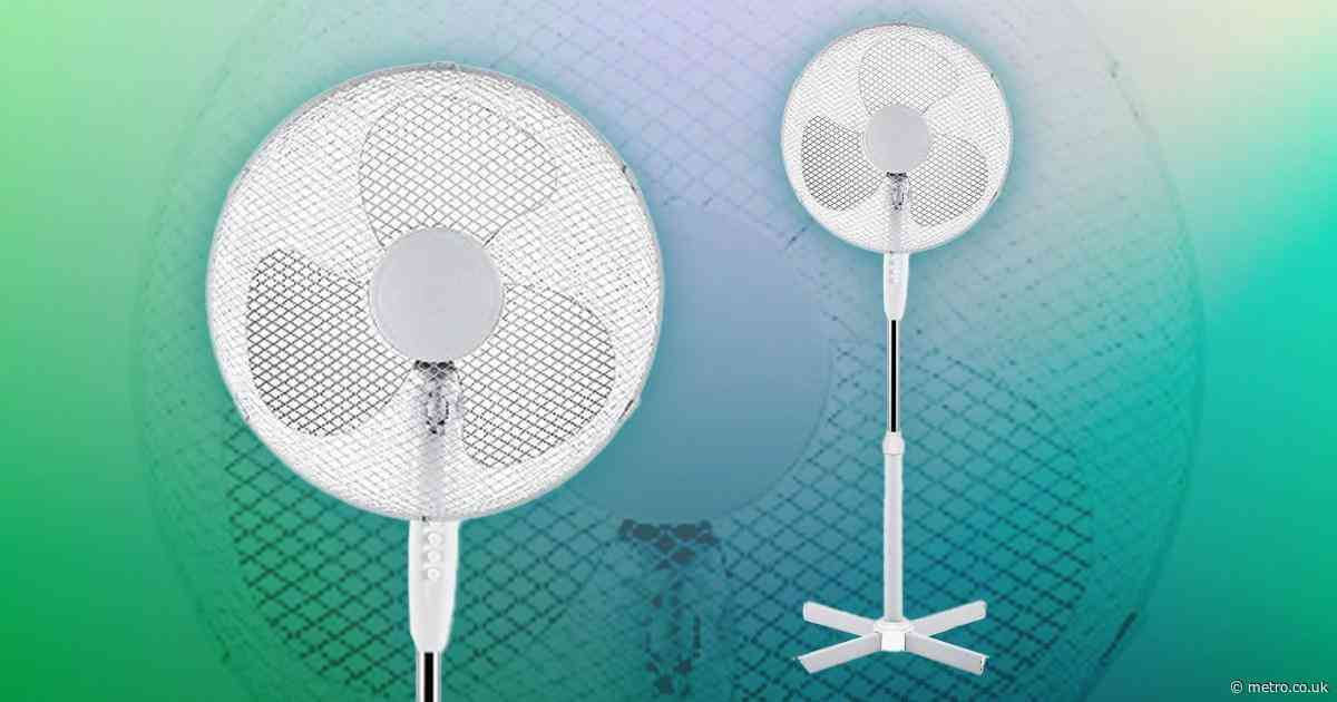 Amazon shoppers are surprised by ‘excellent quality’ oscillating fan that’s less than £20