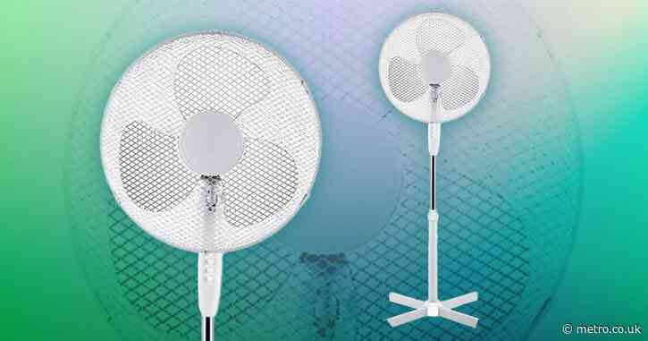 Amazon shoppers are surprised by ‘excellent quality’ oscillating fan that’s less than £20