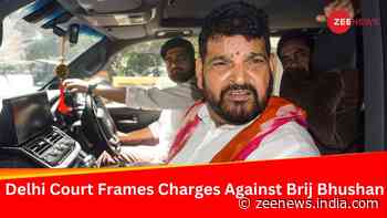Delhi Court Frames Charges Of Sexual Harassment Against Former WFI Chief Brij Bhushan Sharan Singh