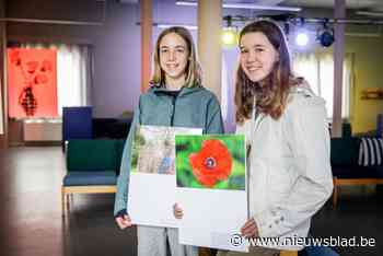 Leerlingen BimSem maken foto’s, tekeningen, gedichten en muziek voor tentoonstelling over oorlog en vluchten