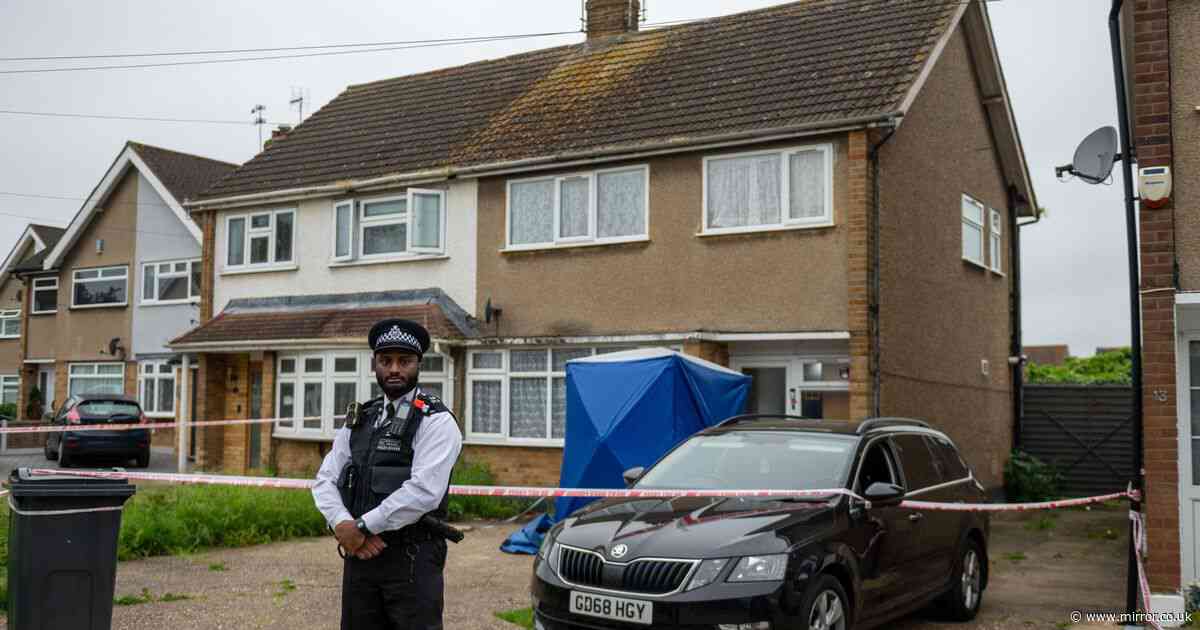 Hornchurch XL Bully attack: Neighbours’ horror as woman mauled to death and riot cops storm home