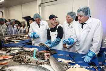 Alfa Fish opent visverwerkingsbedrijf van 1.500 vierkante meter: “We willen grootste visverwerker van Vlaanderen worden”
