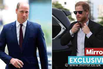 Prince Harry and William are 'notoriously stubborn and can’t see a way out of poisoned atmosphere'