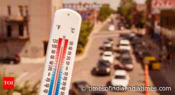 Heatwave in Delhi NCR: Doc's tips to stay safe
