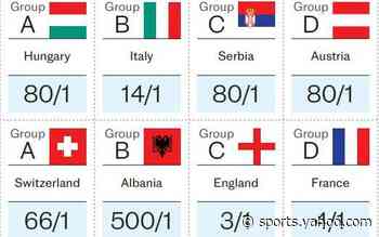 Euro 2024 sweepstake kit: Download and print yours here