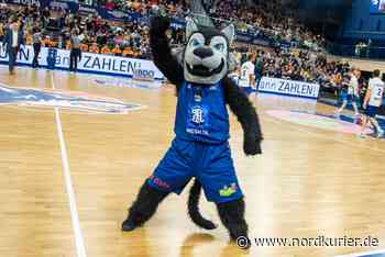 Basketballer der Seawolves kommen in die Rostocker Kinder-Uni