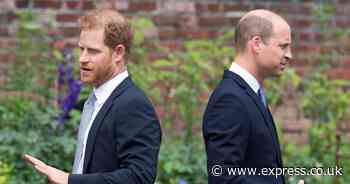 Prince Harry 'doesn't really exist' to William as he 'doesn't have room in his soul'
