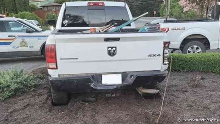 Drunk driver nabbed after driving Ram truck backwards at high rate of speed, gets stuck in garden