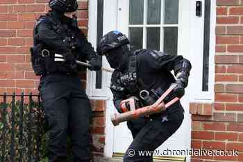 Arrests made and drugs and weapons seized after police carry out early morning raids in Newcastle