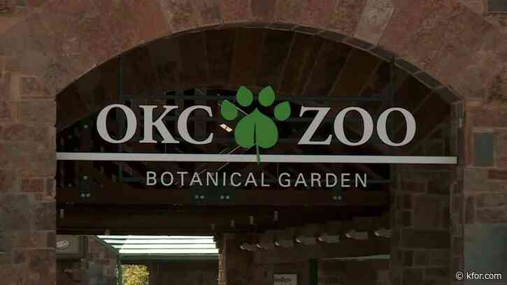 What's going on at the OKC Zoo in June, July